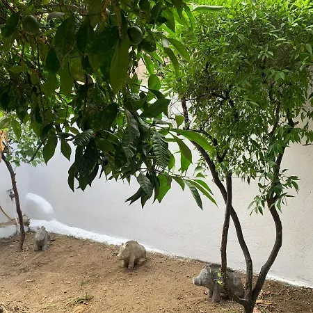 Apartman Zona Centro Olbia