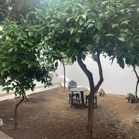 Zona Centro Olbia